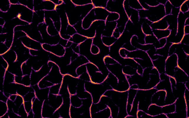 Physarum simulation preview